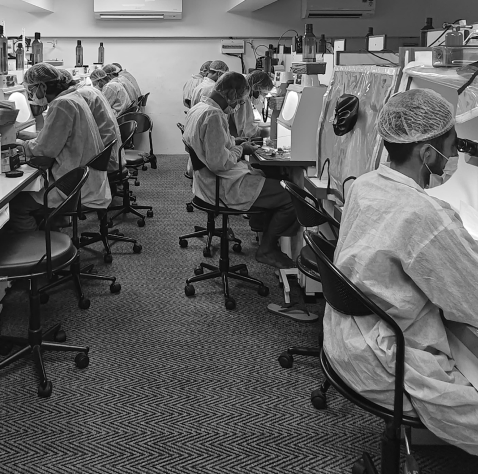 IMG-20241115-WA0074 1